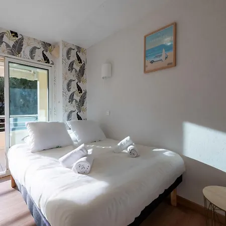 2-br With Pool Near La Croisette